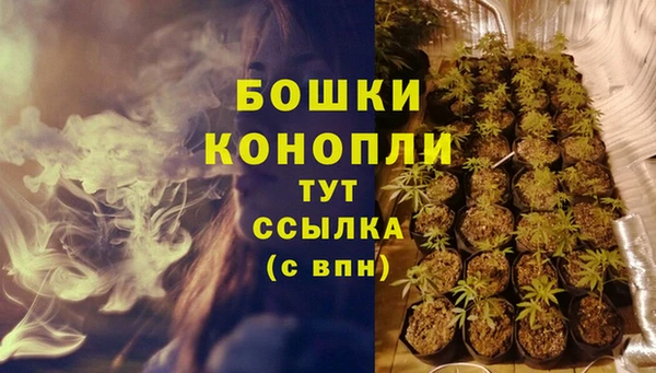 MDMA Новозыбков
