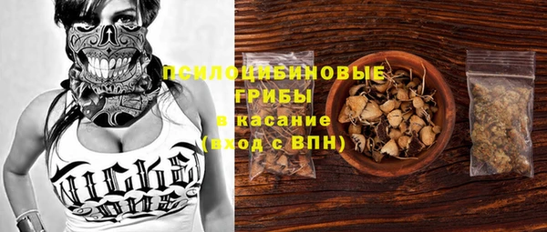 герыч Новодвинск