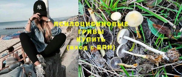 MDMA Новозыбков