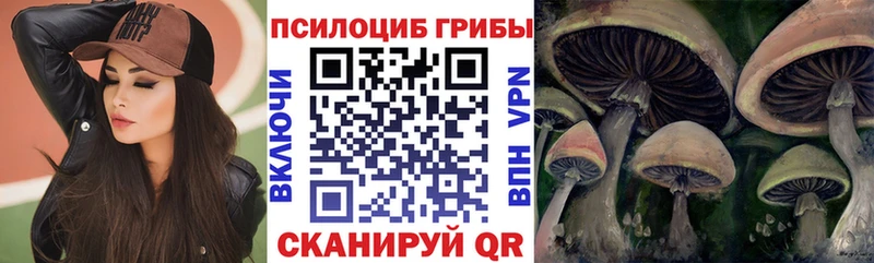 ссылка на мегу зеркало  Ржев  Псилоцибиновые грибы Magic Shrooms 